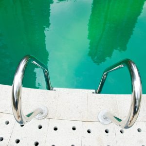 Green pools in Clearwater, Florida